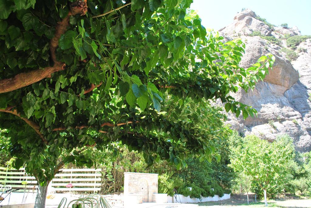 Guesthouse Eleftherios カラブリタ エクステリア 写真