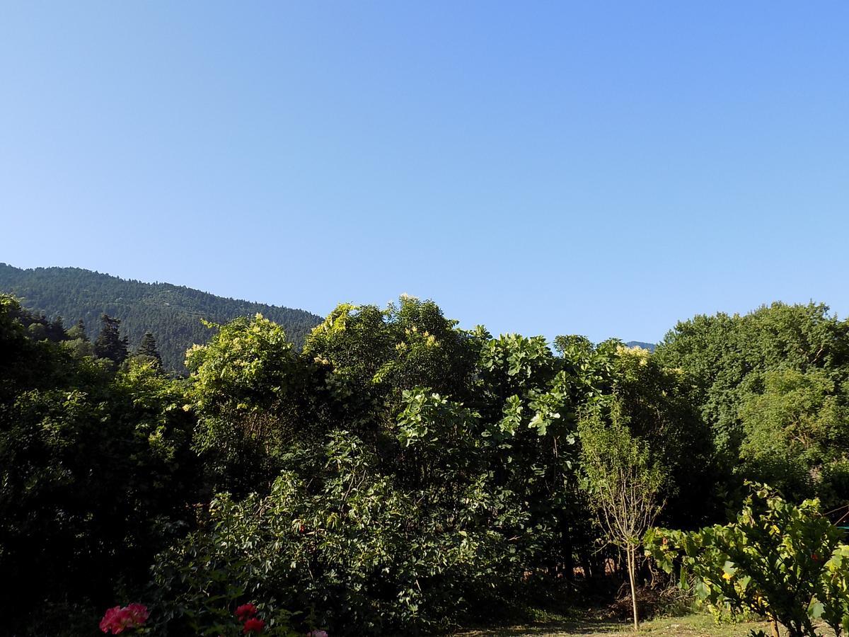 Guesthouse Eleftherios カラブリタ エクステリア 写真