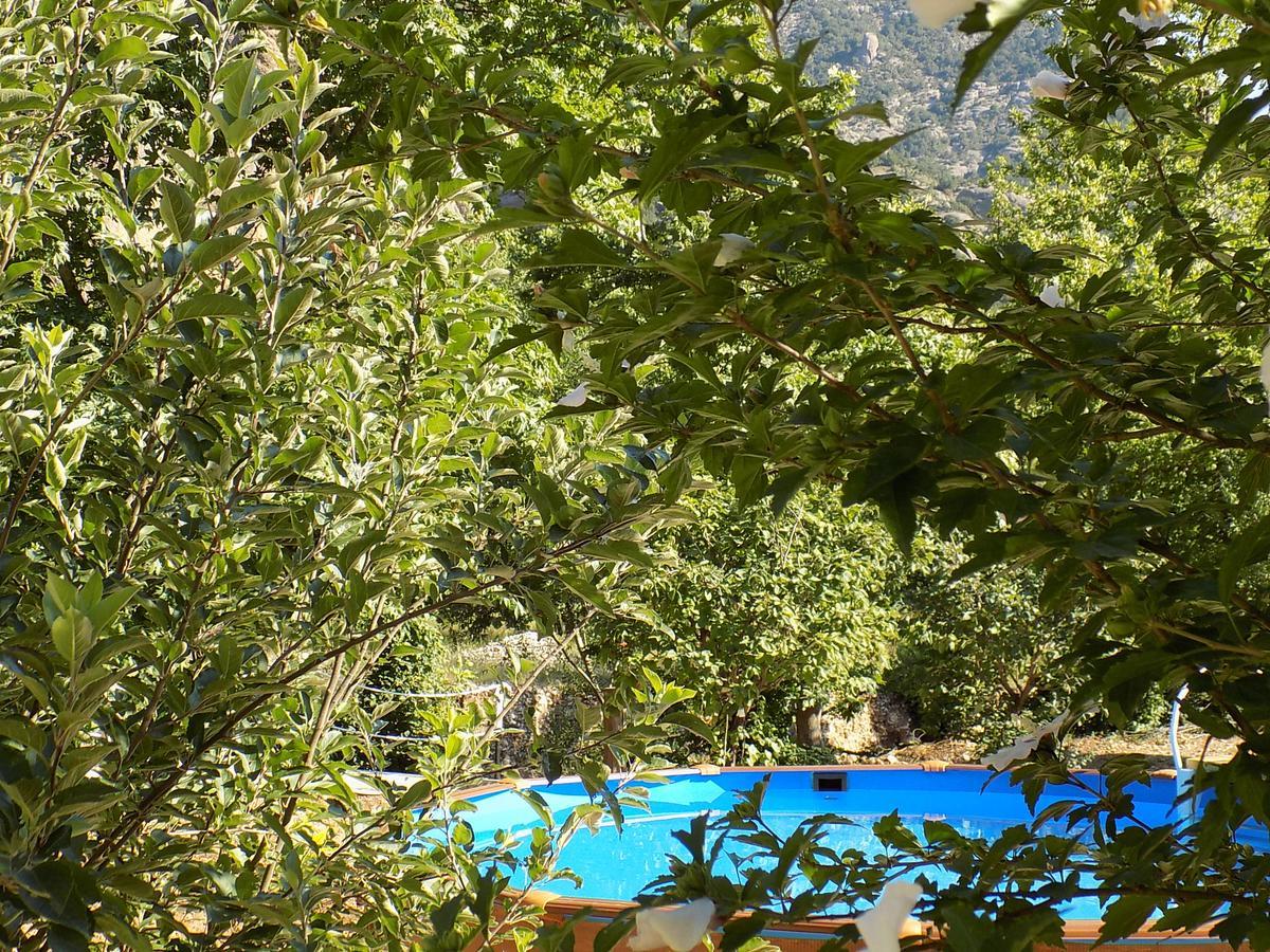 Guesthouse Eleftherios カラブリタ エクステリア 写真